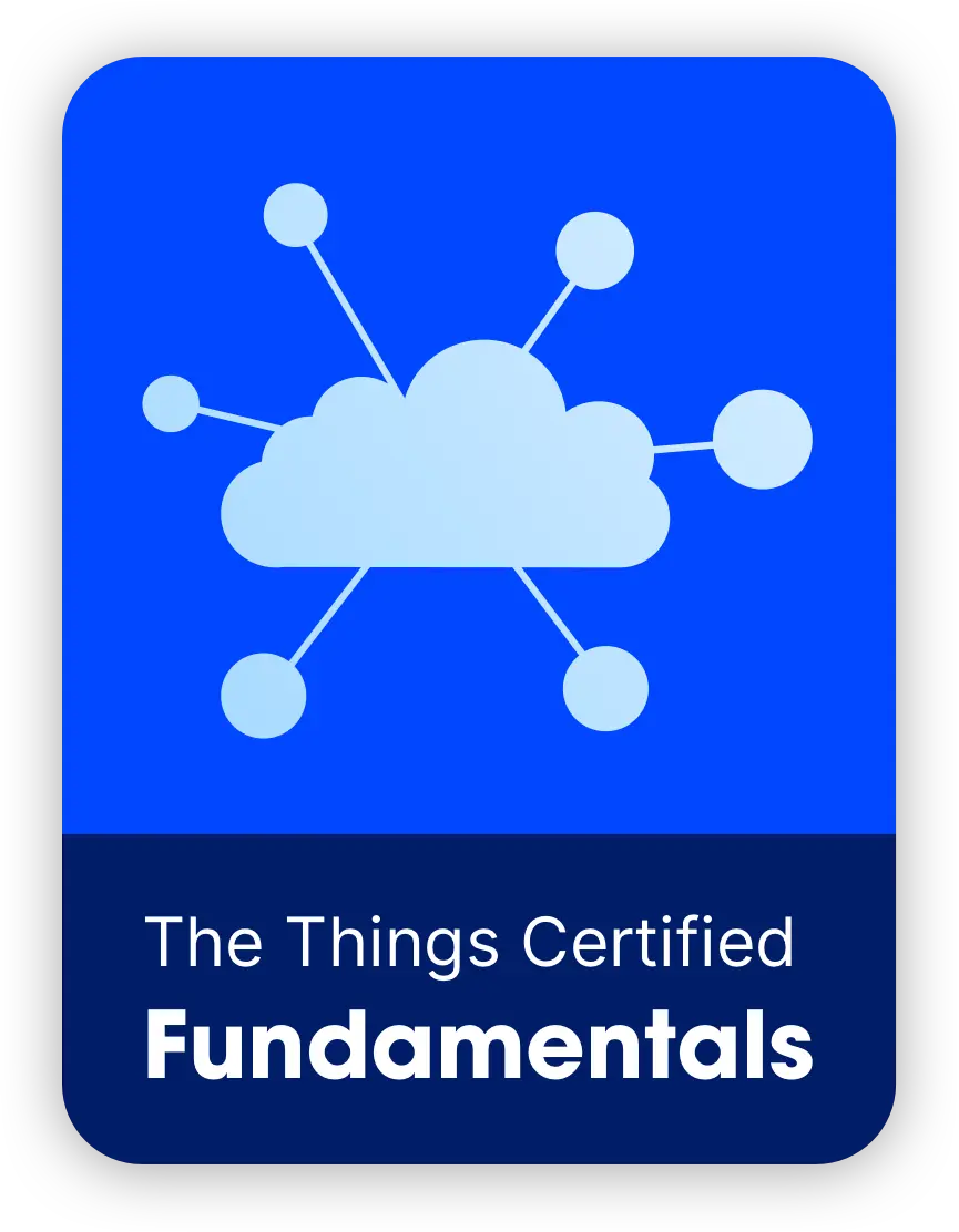 the thins network fundamentals